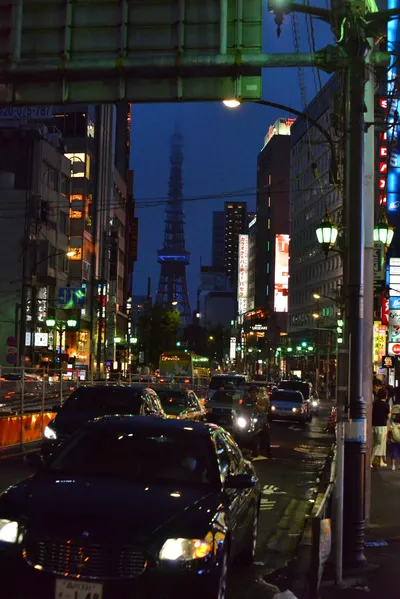 DSC_3995 (Large).JPG